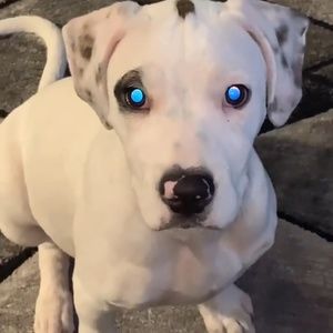 Meet your Posher, Nicholas